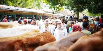 Jelang Idul Adha, Wabup Banyumas Temukan Harga Hewan Kurban Naik Rp5.000 per Kg