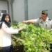 Panen Perdana! Warga Binaan Rutan Banyumas Sukses Jual 16 Ikat Kemangi dan 5 Kg Buncis ke Pasar