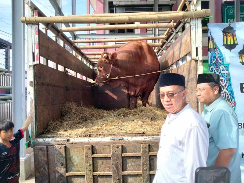 Sapi Kurban 1,1 Ton dari Presiden Prabowo Jadi 2.000 Paket Daging untuk Warga Banyumas