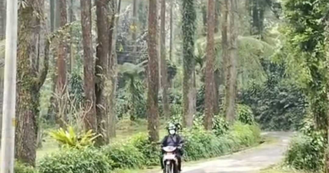 Polemik Kawasan Wisata Palawi, Warga Melintas Kena Tarif Wisata