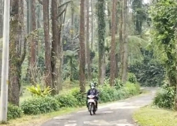 Polemik Kawasan Wisata Palawi, Warga Melintas Kena Tarif Wisata