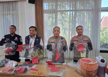 Kronologi Mengerikan di Patikraja: Cucu Bunuh Nenek dengan Palu, Lalu Habisi Selingkuhan Demi Kuasai Harta
