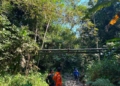Dua Hari Hilang di Hutan Wanatirta Brebes, Lansia 78 Tahun Masih Dicari