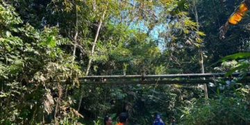 Dua Hari Hilang di Hutan Wanatirta Brebes, Lansia 78 Tahun Masih Dicari