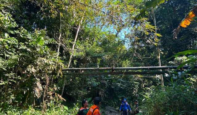 Dua Hari Hilang di Hutan Wanatirta Brebes, Lansia 78 Tahun Masih Dicari