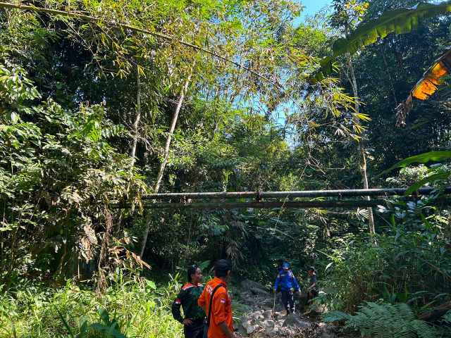 Dua Hari Hilang di Hutan Wanatirta Brebes, Lansia 78 Tahun Masih Dicari