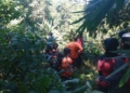 Tim Gabungan Masih Berjuang Cari Seorang Kakek yang Hilang di Hutan Wanatirta Brebes