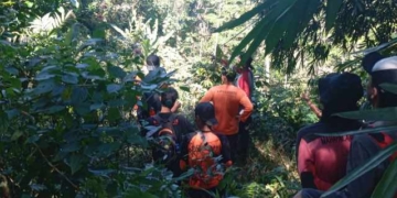 Tim Gabungan Masih Berjuang Cari Seorang Kakek yang Hilang di Hutan Wanatirta Brebes