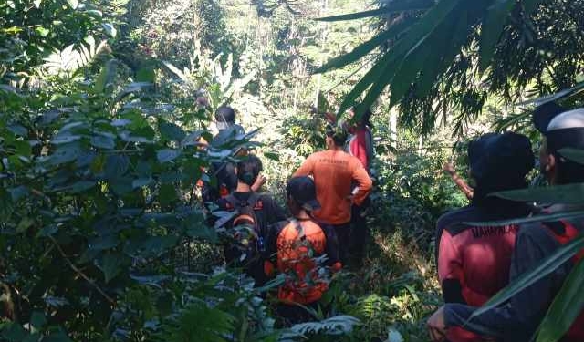 Tim Gabungan Masih Berjuang Cari Seorang Kakek yang Hilang di Hutan Wanatirta Brebes