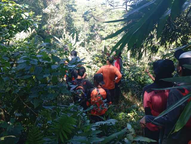 Tim Gabungan Masih Berjuang Cari Seorang Kakek yang Hilang di Hutan Wanatirta Brebes