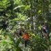 Pencarian Kakeh Naruh Sudah Sampai Radius 6 Km, Tim Gabungan SAR Belum Temukan Tanda-tanda