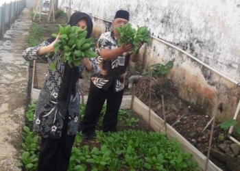 Panen 100 Kg Sayuran, Rutan Banyumas Beri Premi ke WBP Lewat Rekening BRIZZI