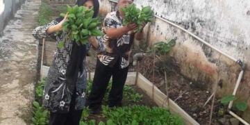 Panen 100 Kg Sayuran, Rutan Banyumas Beri Premi ke WBP Lewat Rekening BRIZZI