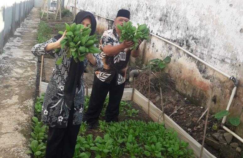 Panen 100 Kg Sayuran, Rutan Banyumas Beri Premi ke WBP Lewat Rekening BRIZZI
