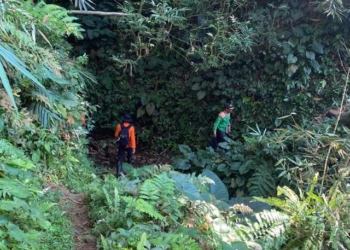 Hari Kedua Pencarian Lansia di Hutan Bukit Tobong, Tim SAR Temui Kendala Vegetasi Rapat