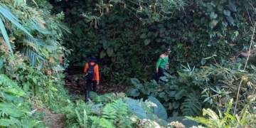 Hari Kedua Pencarian Lansia di Hutan Bukit Tobong, Tim SAR Temui Kendala Vegetasi Rapat