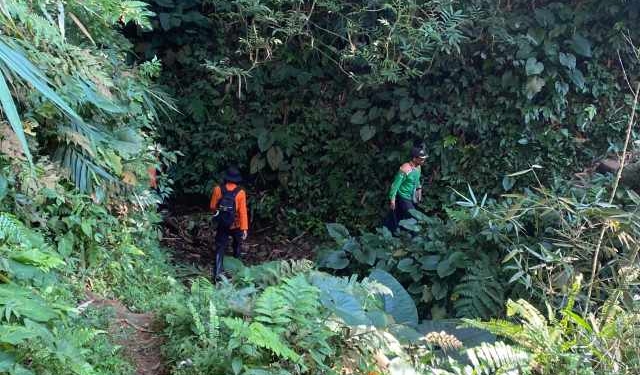 Hari Kedua Pencarian Lansia di Hutan Bukit Tobong, Tim SAR Temui Kendala Vegetasi Rapat