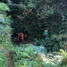 Hari Kedua Pencarian Lansia di Hutan Bukit Tobong, Tim SAR Temui Kendala Vegetasi Rapat