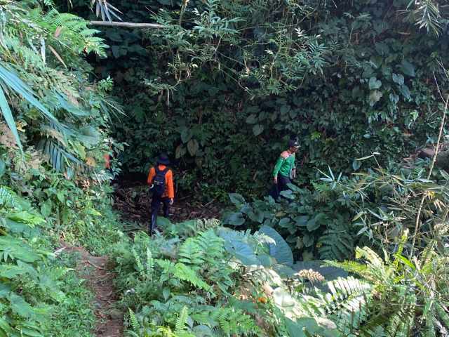 Hari Kedua Pencarian Lansia di Hutan Bukit Tobong, Tim SAR Temui Kendala Vegetasi Rapat