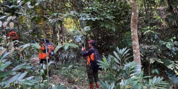 Sudah Sepekan Hilang, Kakek 78 Tahun Belum Ditemukan di Hutan Wanatirta Brebes
