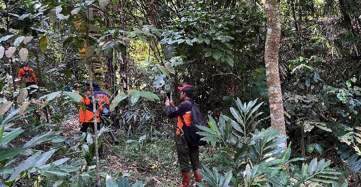 Sudah Sepekan Hilang, Kakek 78 Tahun Belum Ditemukan di Hutan Wanatirta Brebes