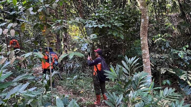 Sudah Sepekan Hilang, Kakek 78 Tahun Belum Ditemukan di Hutan Wanatirta Brebes