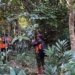 Sudah Sepekan Hilang, Kakek 78 Tahun Belum Ditemukan di Hutan Wanatirta Brebes