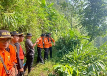 Pencarian Lansia 72 Tahun di Hutan Purbalingga Masih Nihil, SAR Perluas Area ke Udara dan Tebing