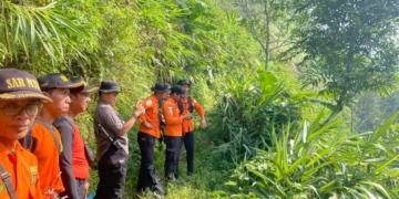 Pencarian Lansia 72 Tahun di Hutan Purbalingga Masih Nihil, SAR Perluas Area ke Udara dan Tebing
