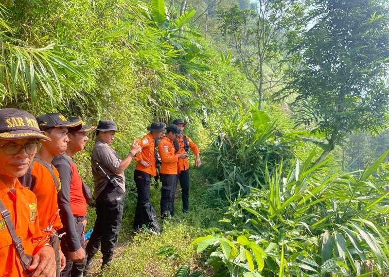 Pencarian Lansia 72 Tahun di Hutan Purbalingga Masih Nihil, SAR Perluas Area ke Udara dan Tebing