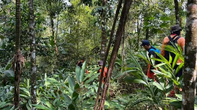 7 Hari Penyisiran, Kakek Naruh (78) Dinyatakan Hilang, Operasi SAR Berakhir