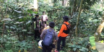 Titik Terang Belum Ditemukan, Tim SAR Kembali Sisir Hutan Tobong dengan Anjing Pelacak untuk Pencarian Lansia Hilang
