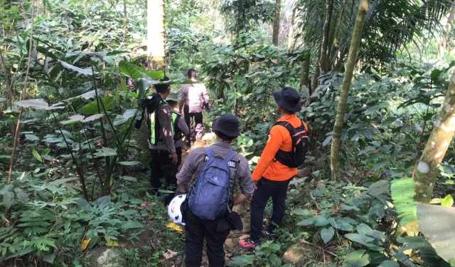 Titik Terang Belum Ditemukan, Tim SAR Kembali Sisir Hutan Tobong dengan Anjing Pelacak untuk Pencarian Lansia Hilang