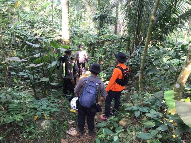 Titik Terang Belum Ditemukan, Tim SAR Kembali Sisir Hutan Tobong dengan Anjing Pelacak untuk Pencarian Lansia Hilang