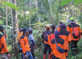 Pencarian Lansia Hilang di Hutan Bukit Tobong Dihentikan, Tim SAR Temukan Bau Misterius di Hari Kedua