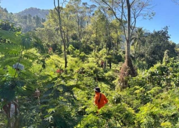 Dua Hari Terkatung di Hutan Cipendok, Sutarto Ditemukan Tim SAR Hanya 200 Meter dari Titik Hilang