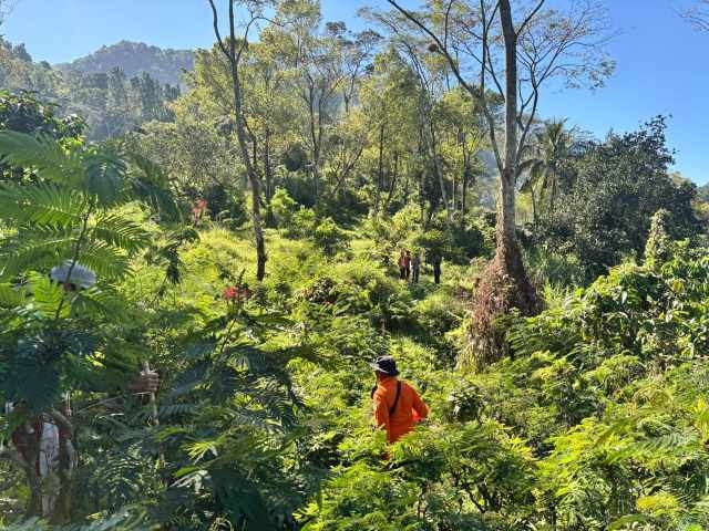 Dua Hari Terkatung di Hutan Cipendok, Sutarto Ditemukan Tim SAR Hanya 200 Meter dari Titik Hilang