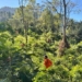 Dua Hari Terkatung di Hutan Cipendok, Sutarto Ditemukan Tim SAR Hanya 200 Meter dari Titik Hilang
