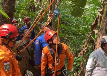 Tim SAR Evakuasi Jenazah Pria Paruh Baya Tersangkut di Pohon Kelapa