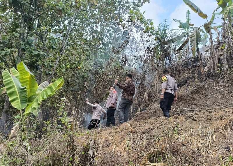 Dibantu Warga, Polri & TNI Padamkan Api di Lahan Perhutani