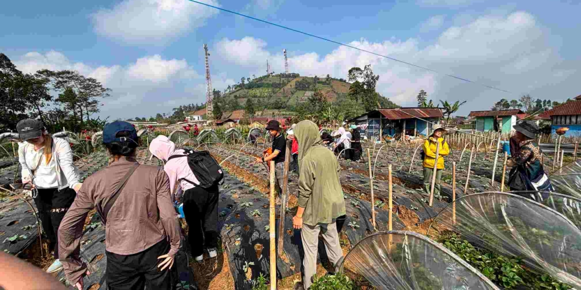 Mahasiswa Jepang Pelajari Pemulihan Pascabencana di Serang Purbalingga, Gandeng Komunitas Lokal