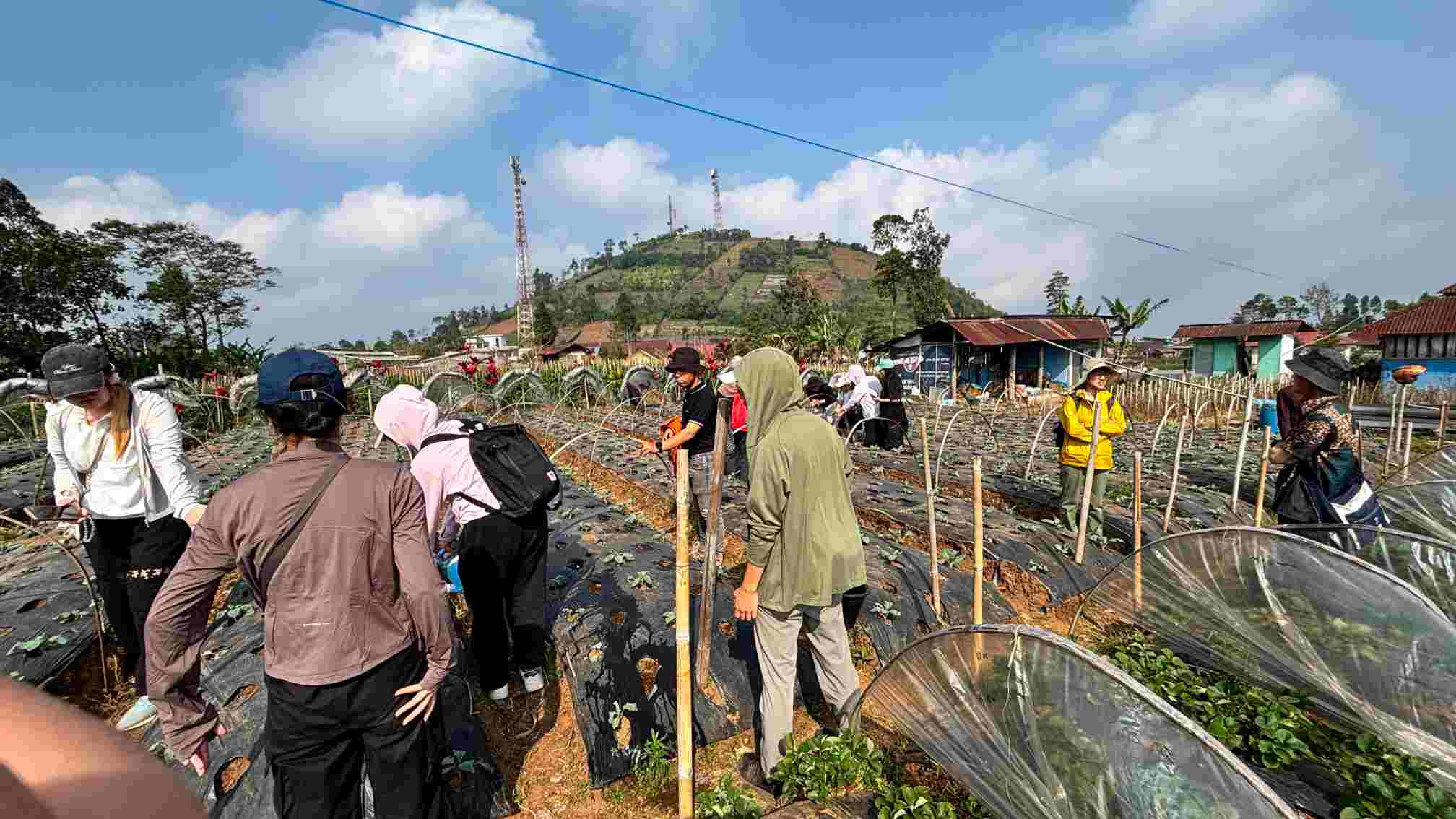 Mahasiswa Jepang Pelajari Pemulihan Pascabencana di Serang Purbalingga, Gandeng Komunitas Lokal
