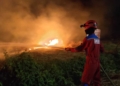 Lahan Seluas 500 Meter di Purwokerto Selatan Ludes Terbakar Akibat Kelalaian