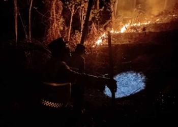 Kebakaran Lahan 2,5 Hektare Landa Jatilawang, Polisi dan Damkar Dikerahkan Padamkan Api
