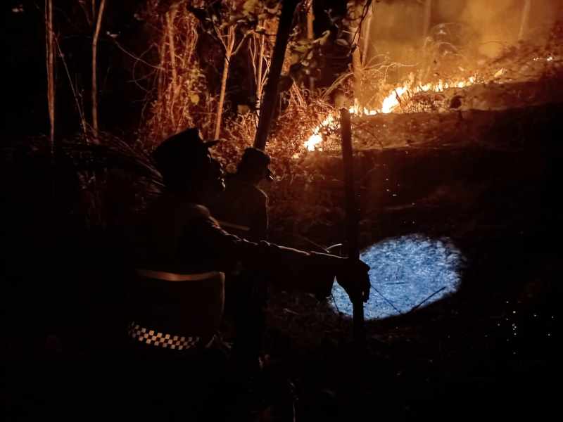 Kebakaran Lahan 2,5 Hektare Landa Jatilawang, Polisi dan Damkar Dikerahkan Padamkan Api