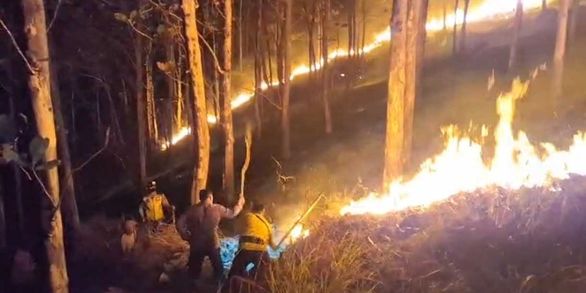 Kebakaran Lahan Perhutani di Sawangan Ajibarang Seluas 1 Hektare Berhasil Dipadamkan