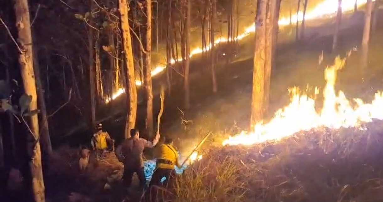 Kebakaran Lahan Perhutani di Sawangan Ajibarang Seluas 1 Hektare Berhasil Dipadamkan