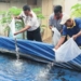 Rutan Banyumas Tebar 3.000 Benih Ikan untuk Ketahanan Pangan dan Kemandirian Warga Binaan