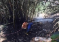 Sehari Tiga Karhutla di Banyumas, Kebun Bambu hingga Lahan Jati Terbakar