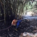 Sehari Tiga Karhutla di Banyumas, Kebun Bambu hingga Lahan Jati Terbakar